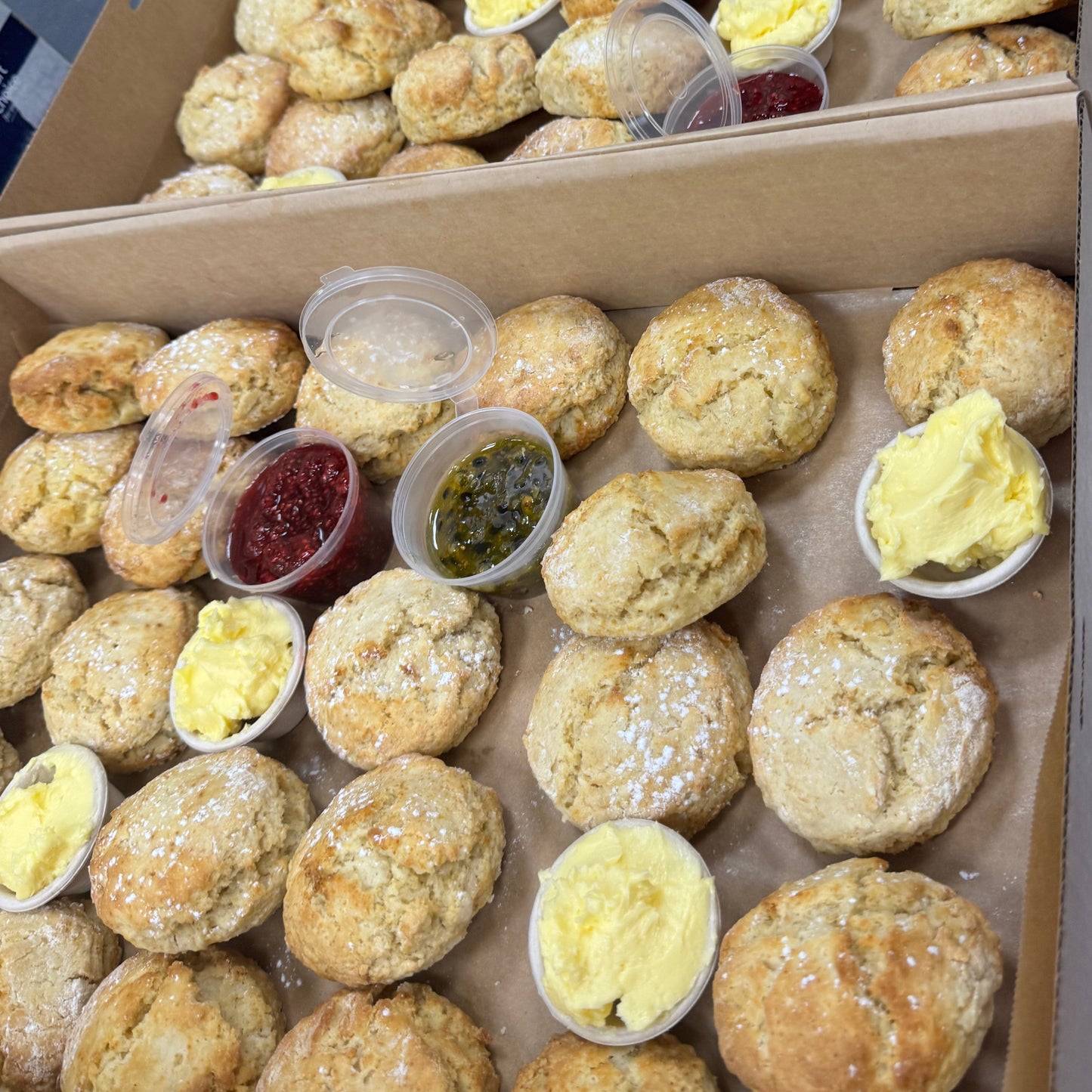 Mini scones with jam and cream